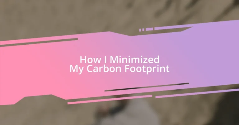 How I Minimized My Carbon Footprint